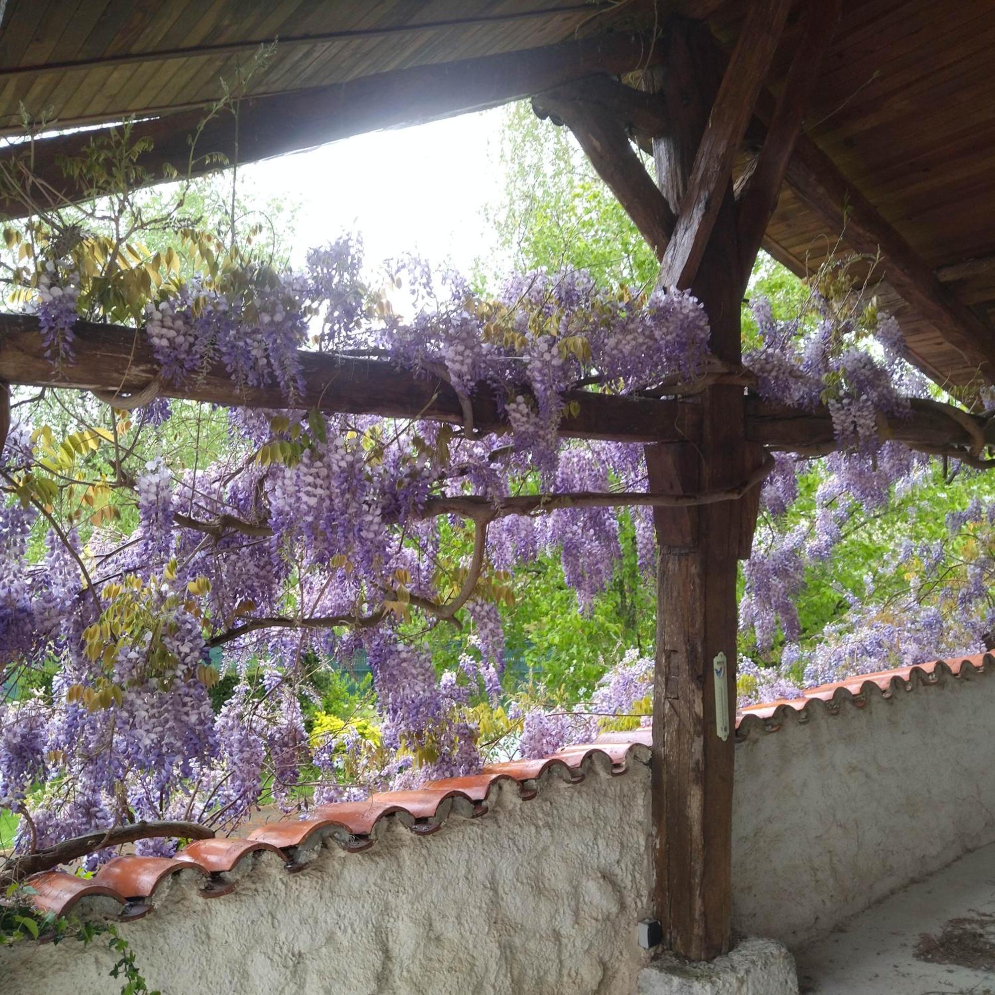 Lavans-sur-Valouse Gite De L'Ancheronne 12 Couchages Spa מראה חיצוני תמונה