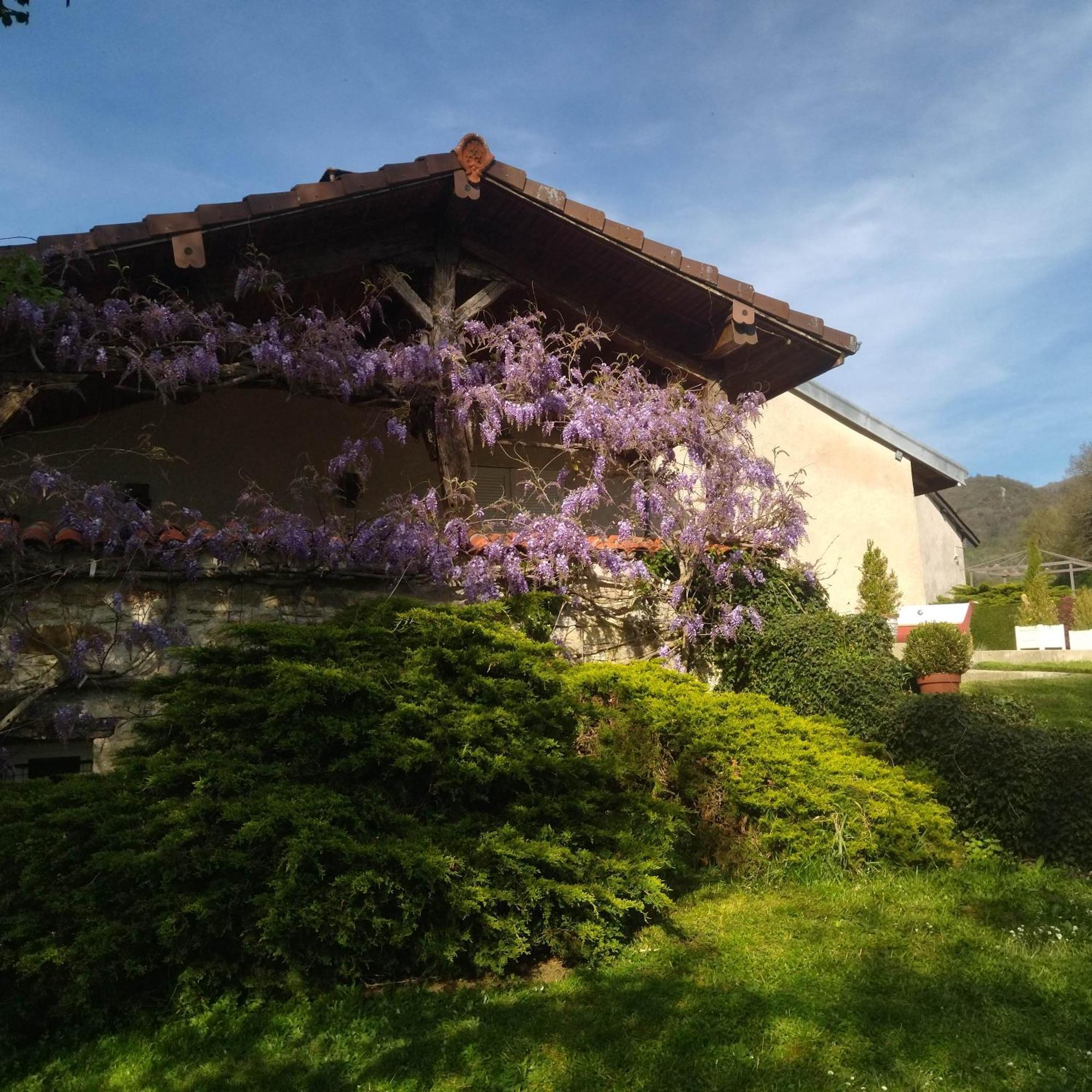 Lavans-sur-Valouse Gite De L'Ancheronne 12 Couchages Spa מראה חיצוני תמונה